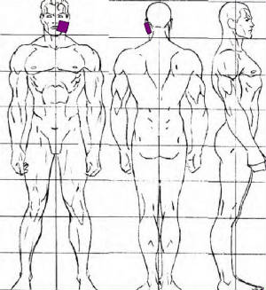 injury location charts location charts