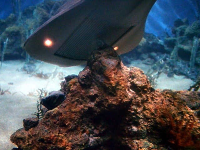 2168700444_039.jpg