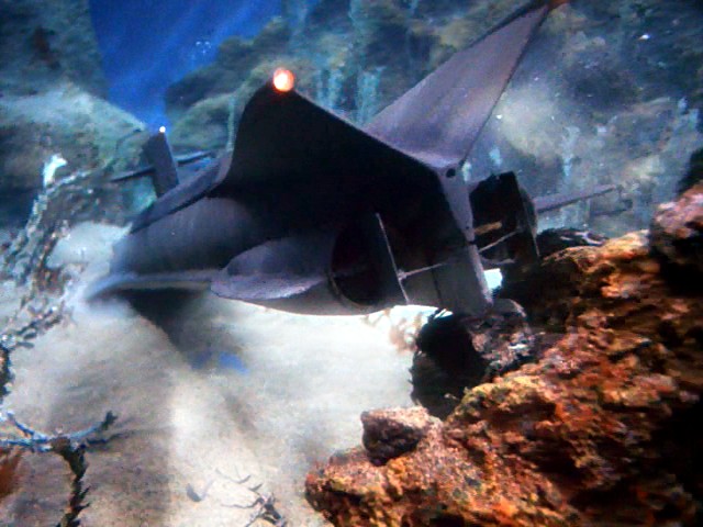 2168700444_042.jpg