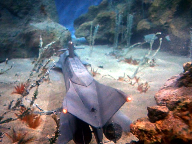 2168700444_045.jpg